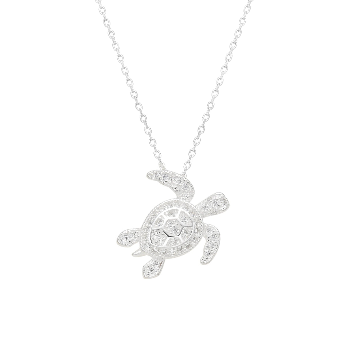 COLLAR TORTU