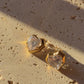 AROS DAINTY - HEART
